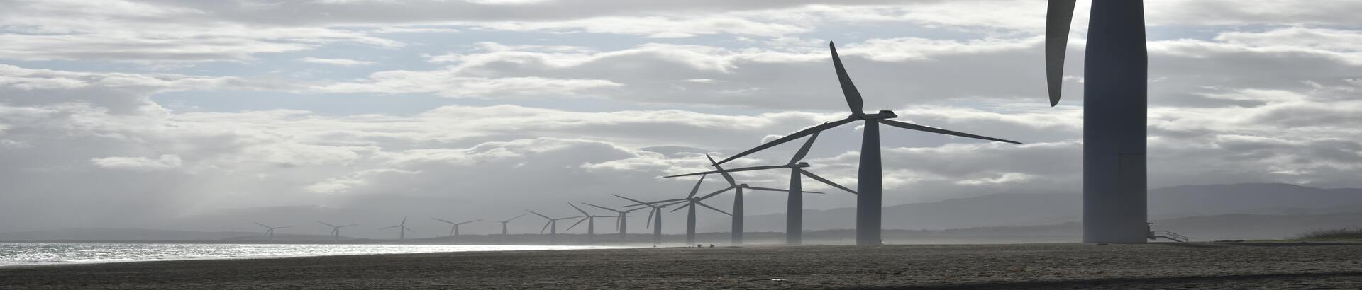 From Solar to Wind: The Heart of Green Energy